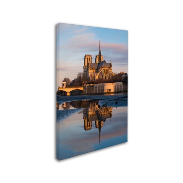 Mathieu Rivrin 'Mythical Reflection' Canvas Art,16x24